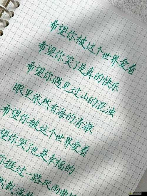 深入浅出txl金银花笔趣：带你领略文字世界的奇妙之旅